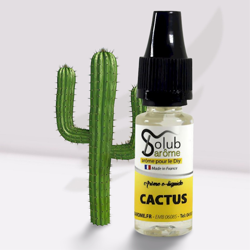 Arôme Cactus Solub