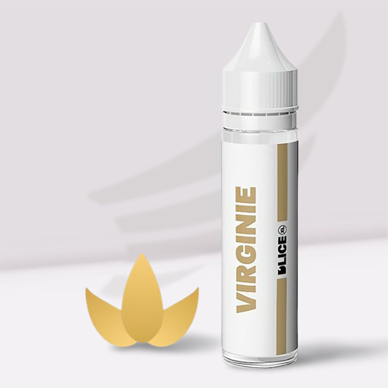 Prêt à booster Virginie XL Dlice