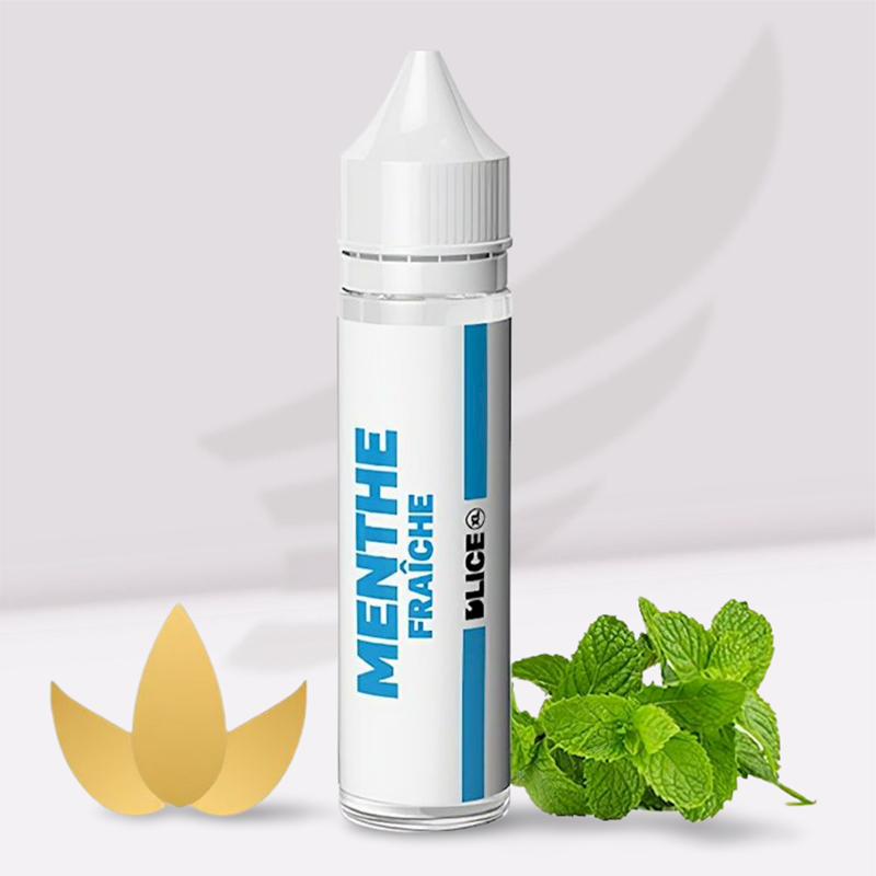 Prêt à booster Usa Menthe XL Dlice