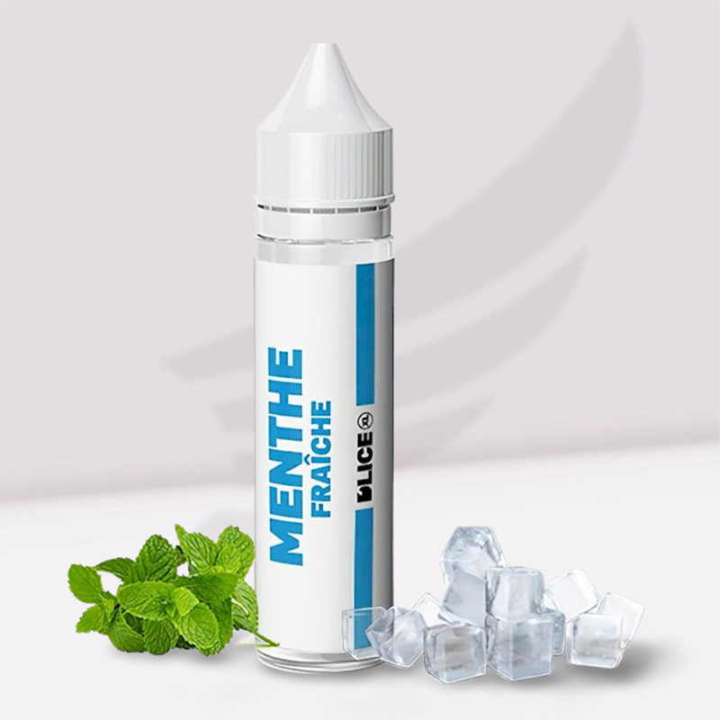 Prêt à booster Menthe Fraiche XL Dlice