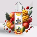 Prêt à booster Ananas, Mangue, Fruits rouges - Cocorico