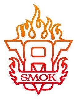 le TFV8 est le meilleur allié de votre box alien de smoktech